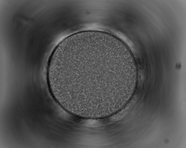 X0000103911463200810311421