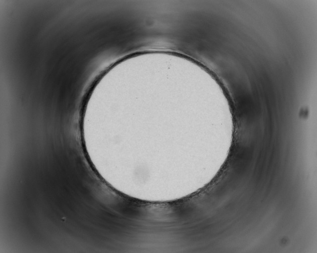 X0000103911464200810311421