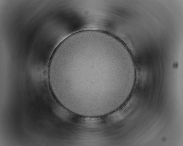X0000103911465200810311421