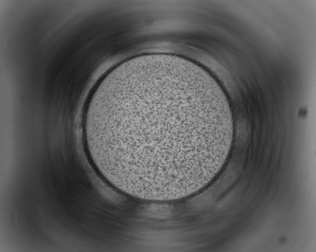 X0000103911466200810311421