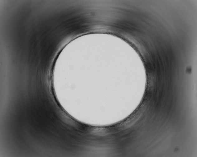X0000103911467200810311421