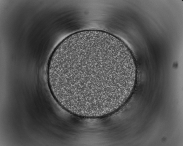 X0000103911468200810311421