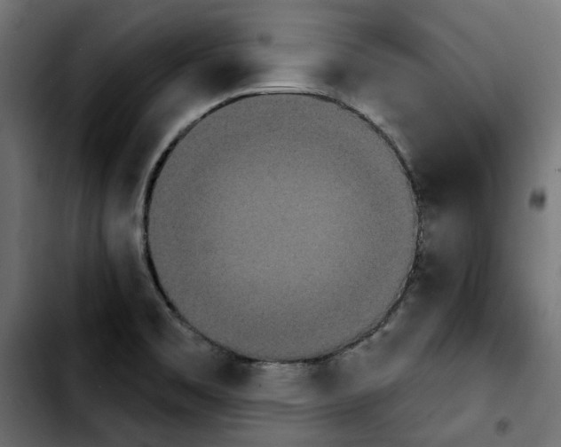 X0000103911469200810311421