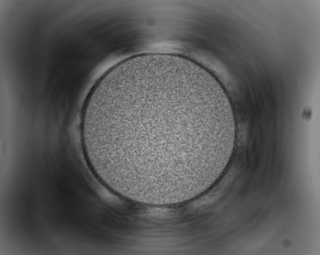 X0000103911470200810311421