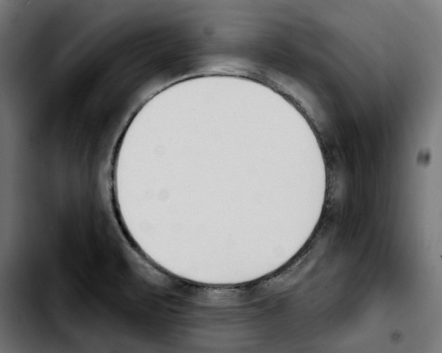 X0000103911471200810311421