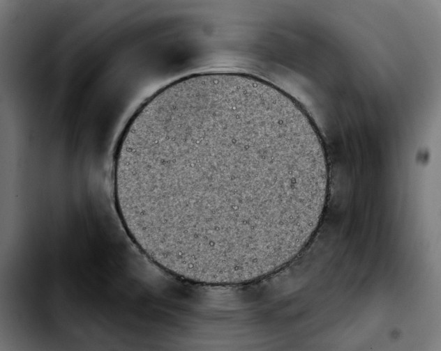 X0000103911472200810311421