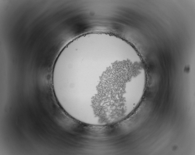 X0000103911473200810311421