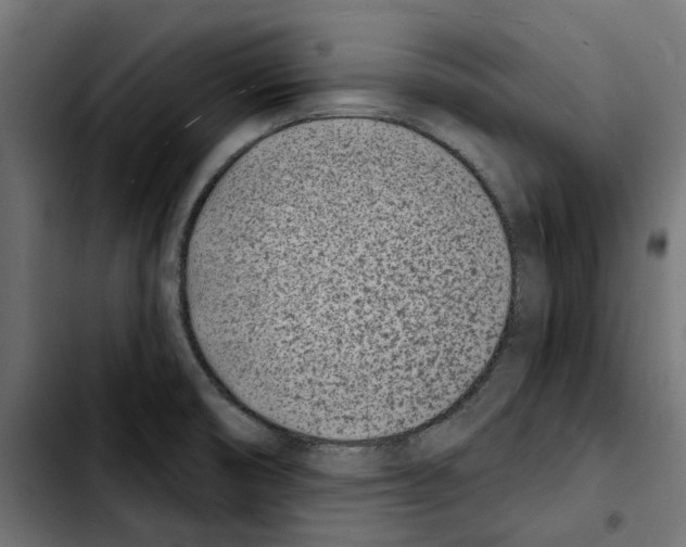 X0000103911474200810311421