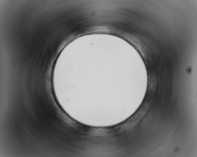 X0000103911475200810311421