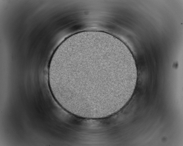 X0000103911476200810311421