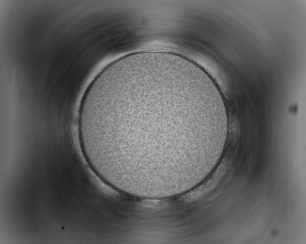 X0000103911478200810311421