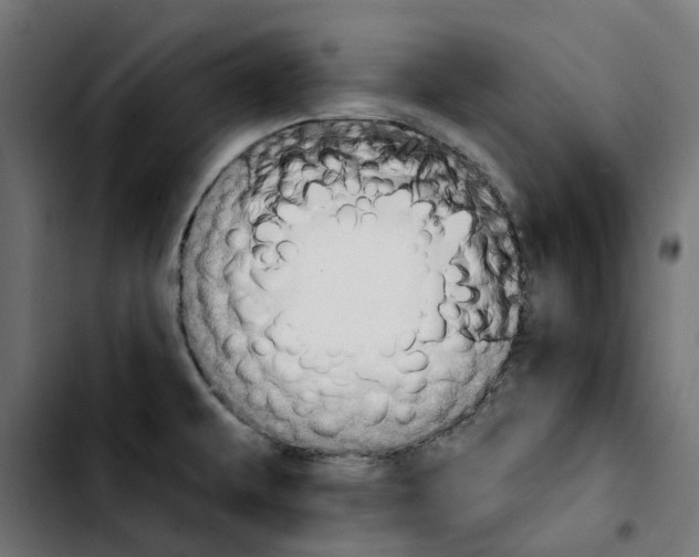 X0000103911479200810311421