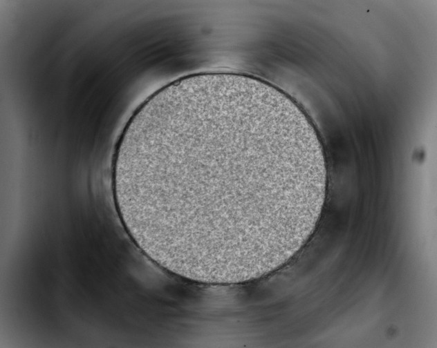 X0000103911480200810311421