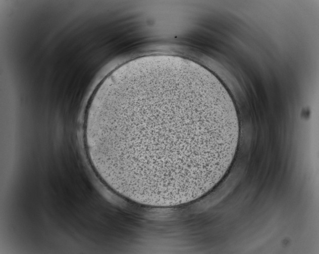X0000103911482200810311421