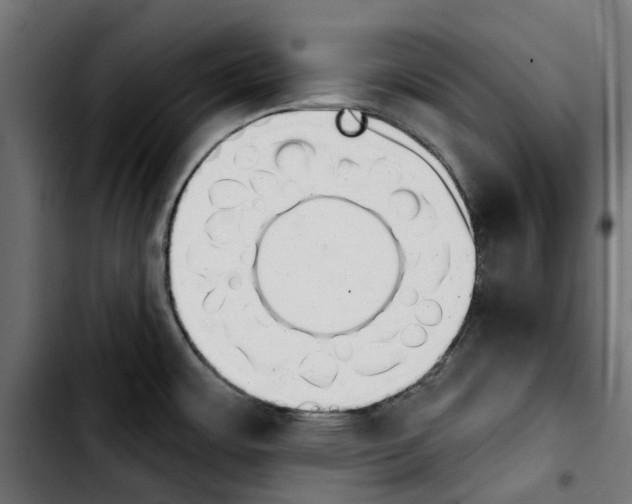 X0000103911483200810311421