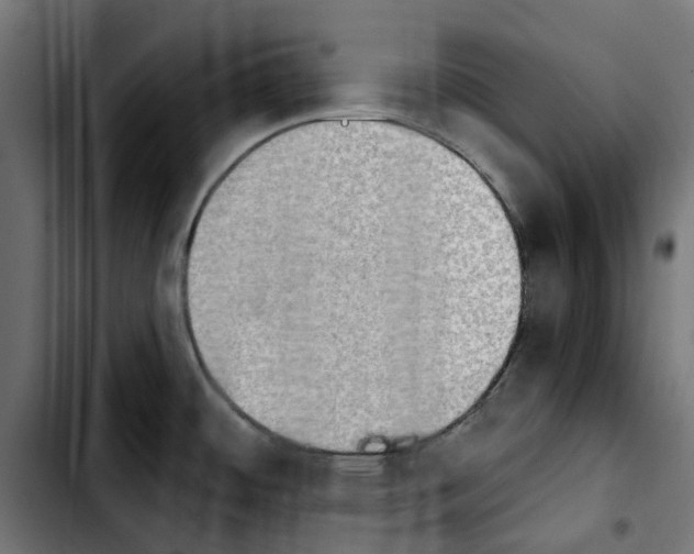 X0000103911484200810311421