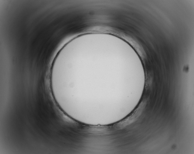 X0000103911486200810311421