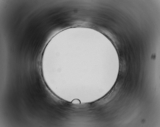 X0000103911487200810311421