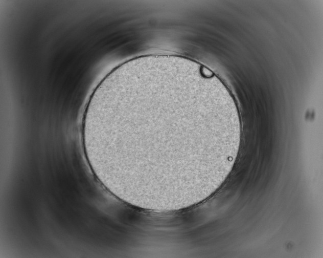 X0000103911488200810311421