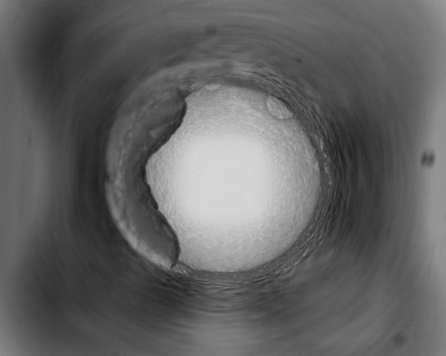 X0000103911489200810311420