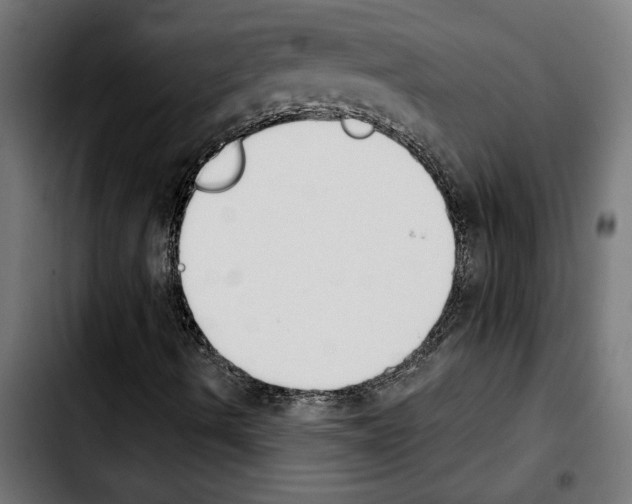 X0000103911490200810311420