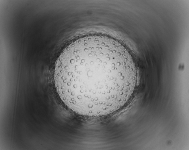 X0000103911491200810311420