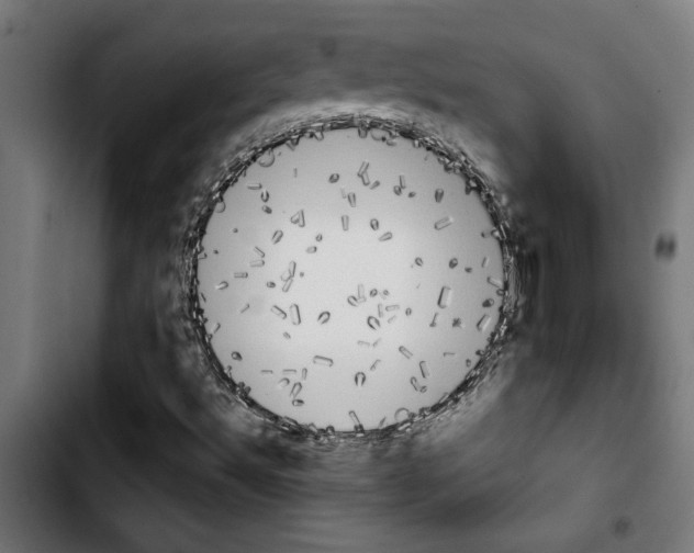 X0000103911492200810311420