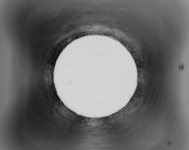 X0000103911493200810311420