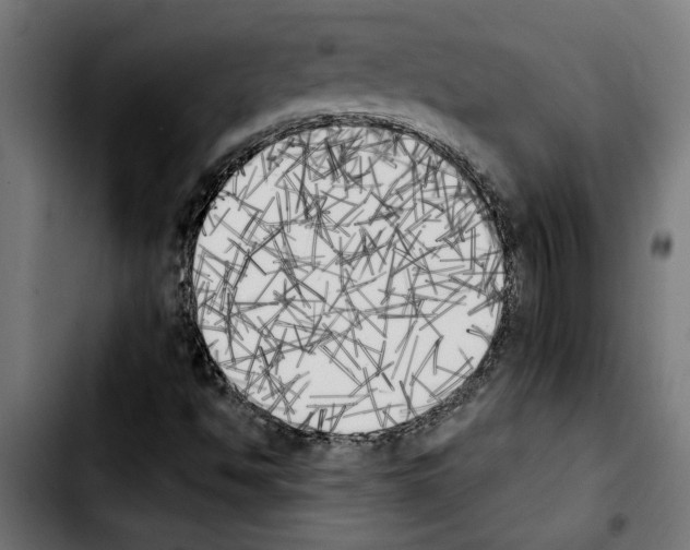 X0000103911494200810311420