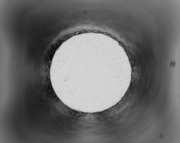X0000103911495200810311420