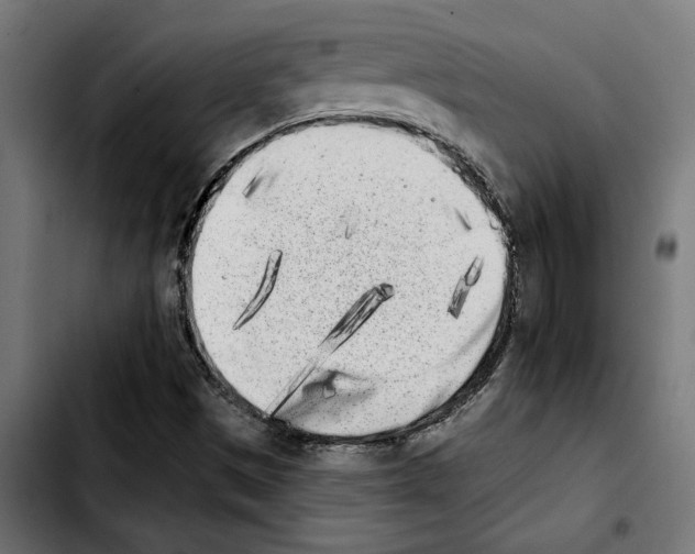 X0000103911497200810311420