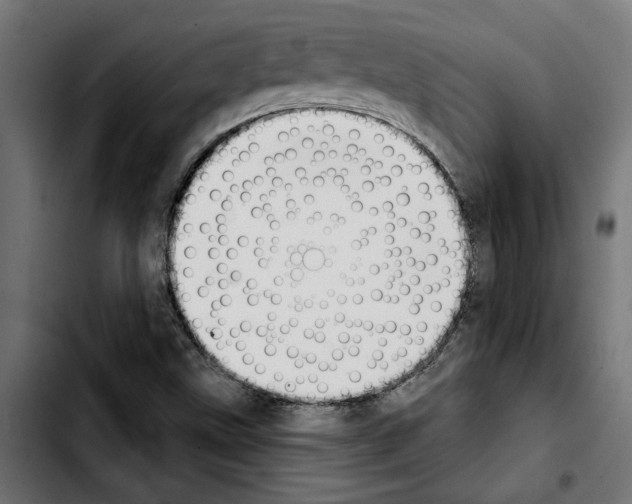 X0000103911499200810311420