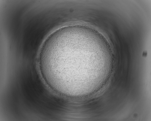 X0000103911500200810311420
