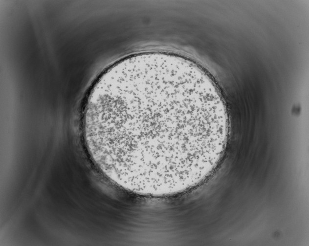 X0000103911501200810311420