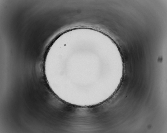 X0000103911502200810311420