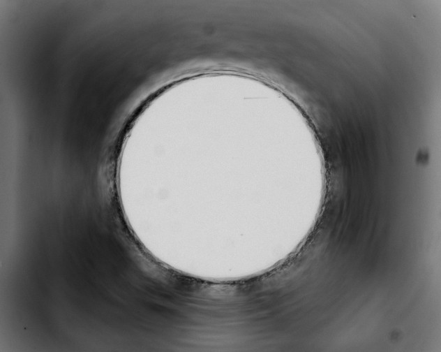 X0000103911503200810311420