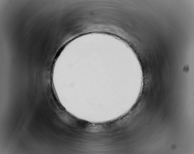 X0000103911505200810311420