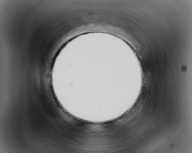 X0000103911507200810311420