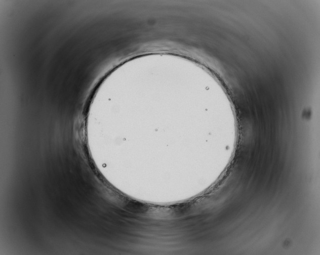 X0000103911509200810311420