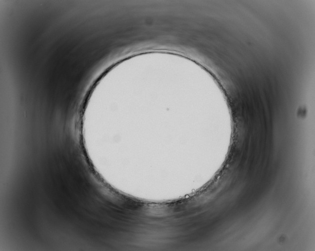 X0000103911511200810311420