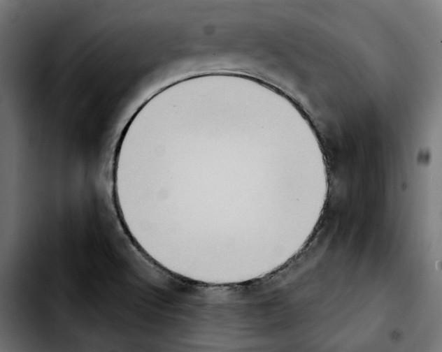 X0000103911512200810311420