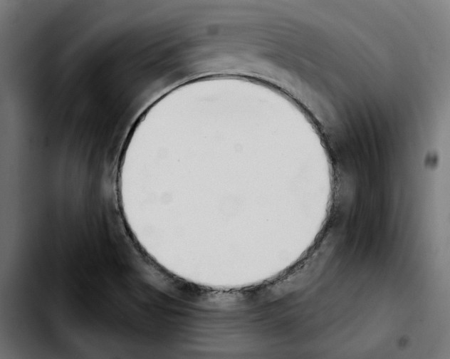 X0000103911513200810311420