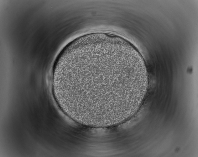 X0000103911515200810311420