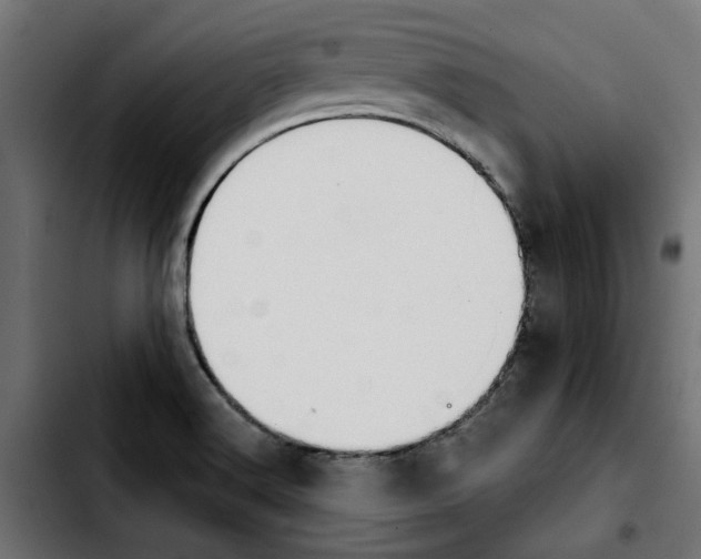 X0000103911516200810311420