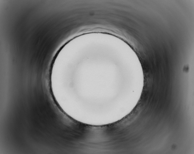 X0000103911518200810311420