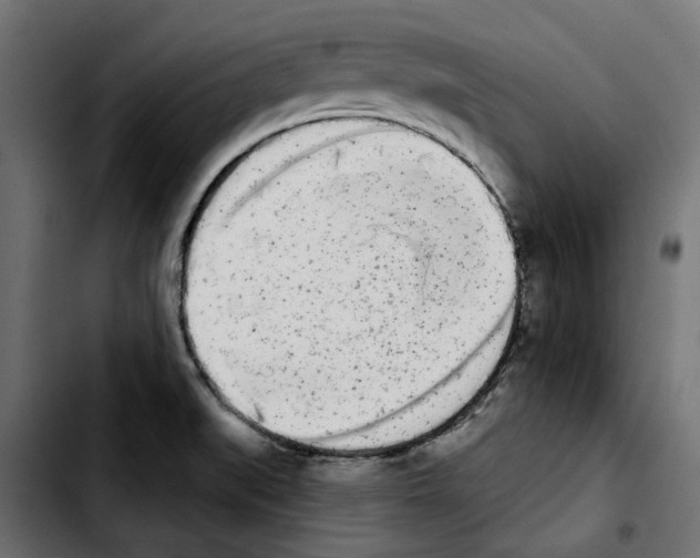X0000103911519200810311420