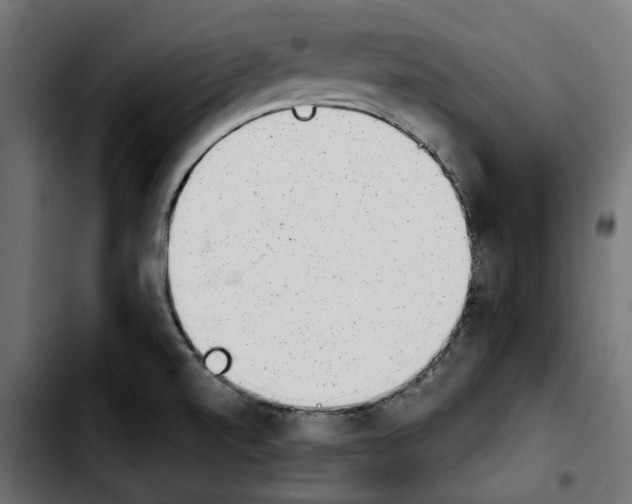 X0000103911520200810311420