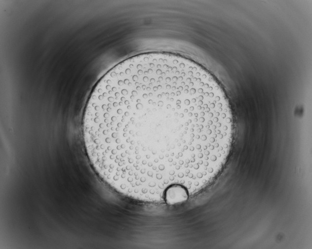 X0000103911521200810311420
