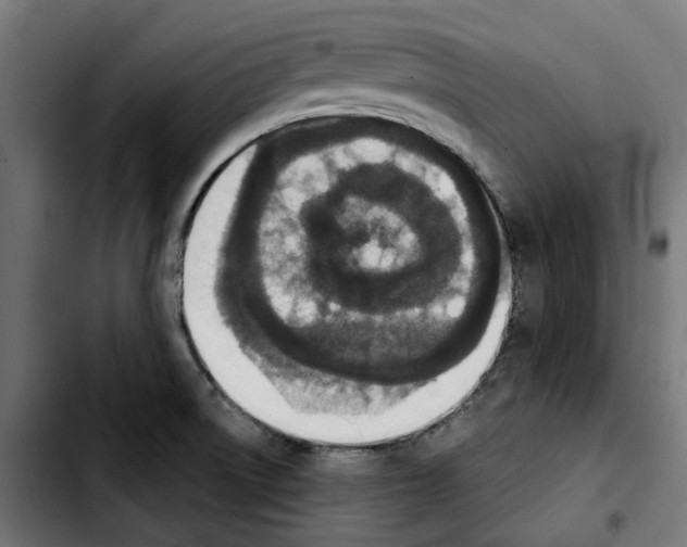 X0000103911522200810311420
