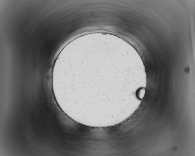 X0000103911524200810311420